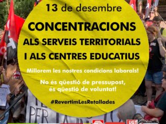 Cartell concentració 13D